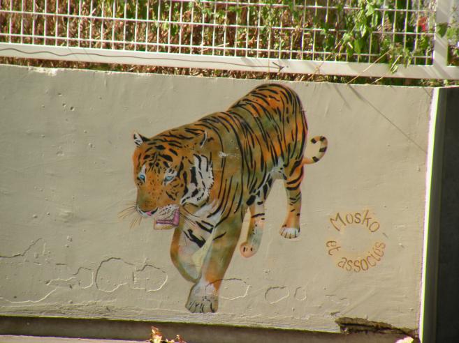  tigre dessiné sur un mur, Mosko et associes